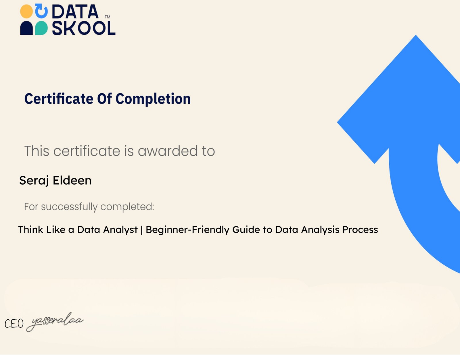 Think Like a Data Analyst